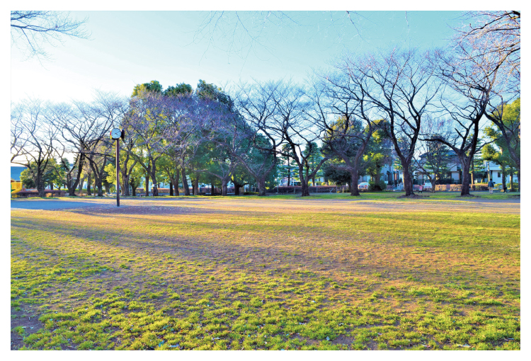 みずほ台中央公園